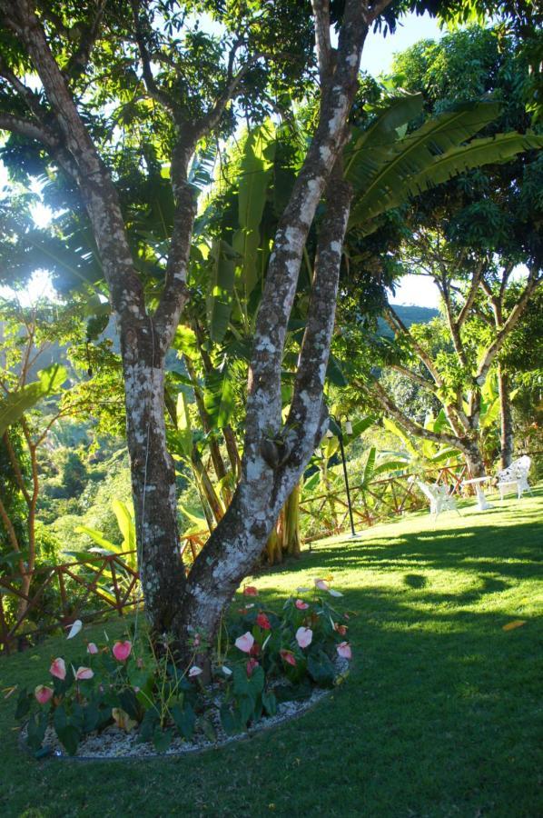 Hotel Cantinho Flores Guaramiranga